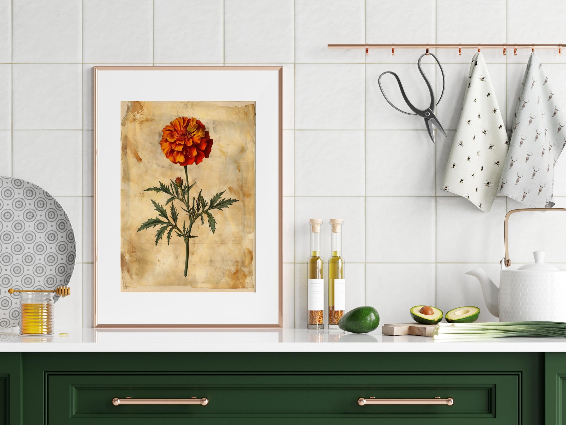 Ewige Flamme: Eine Ringelblumen-Illustration von Fiona Aisling- Naturillustration, Irische Künstlerin, Ringelblume, Blumenkunst, Vintage-Illustration