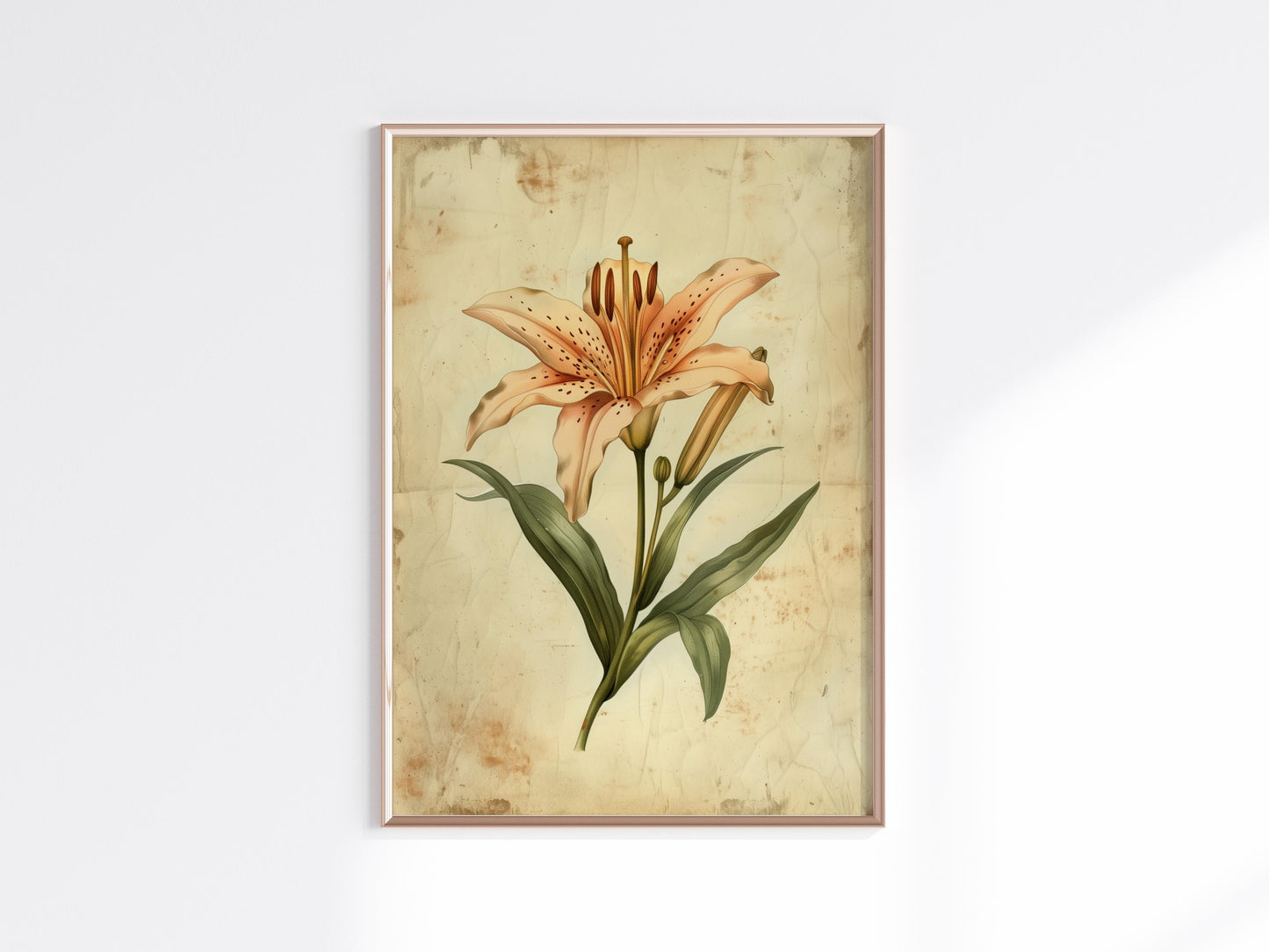 Floral Elegance: The Lily by Emilia Florentina- Baroque, fine art, nature representation, Emilia Florentina, rich in detail